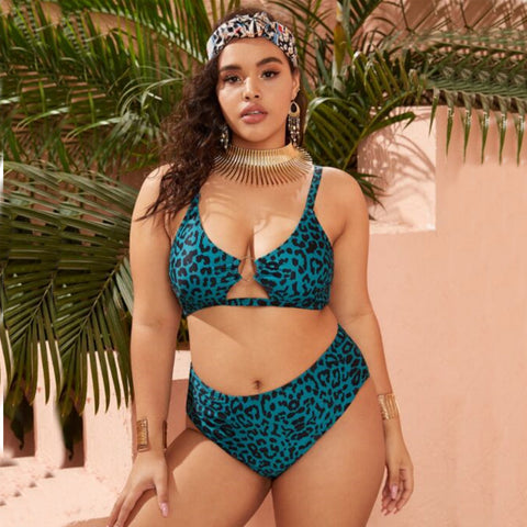 Animal Print Push Up High Waist Pieces Bikini Set